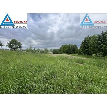 Działka budowlana Wilczkowo sprzedam, pow. 18 448 m2  (1.84ha) - zdjęcie 2