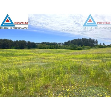 Działka rolna Biesówko sprzedam, pow. 39 200 m2  (3.92ha) - zdjęcie 4