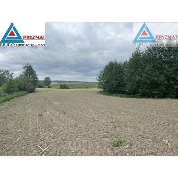 Działka budowlana Wilczkowo sprzedam, pow. 18 448 m2  (1.84ha) - zdjęcie 5