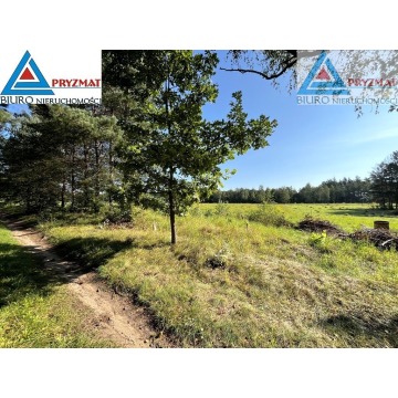 Działka Maruny sprzedam, pow. 1004 m2  (10a) - zdjęcie 8