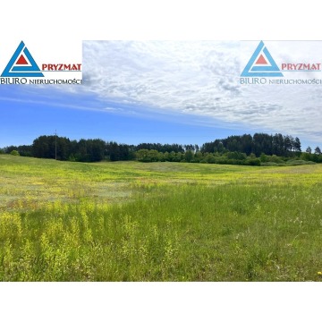 Działka rolna Biesówko sprzedam, pow. 39 200 m2  (3.92ha) - zdjęcie 3