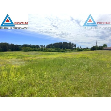 Działka rolna Biesówko sprzedam, pow. 39 200 m2  (3.92ha) - zdjęcie 2