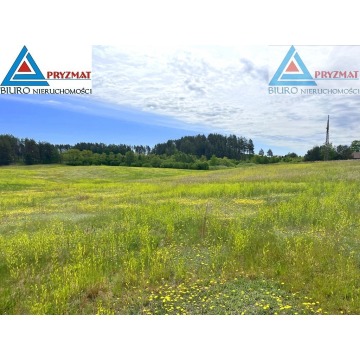 Działka rolna Biesówko sprzedam, pow. 39 200 m2  (3.92ha) - zdjęcie 5