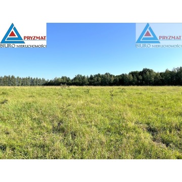 Działka Maruny sprzedam, pow. 1004 m2  (10a) - zdjęcie 3