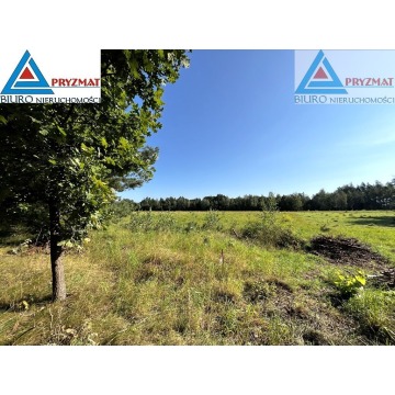 Działka Maruny sprzedam, pow. 1004 m2  (10a) - zdjęcie 2