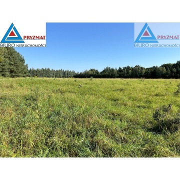 Działka Maruny sprzedam, pow. 1004 m2  (10a) - zdjęcie 1