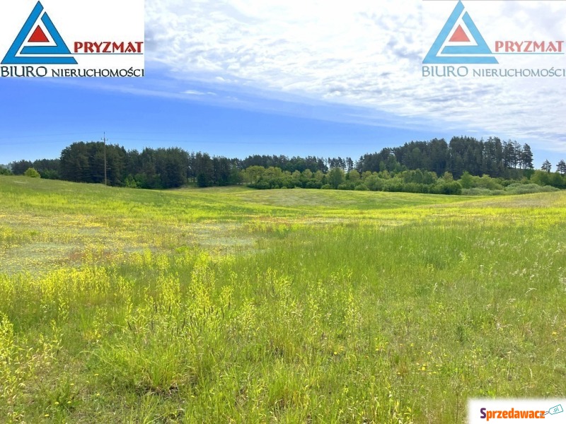 Działka rolna Biesówko sprzedam, pow. 39 200 m2  (3.92ha)