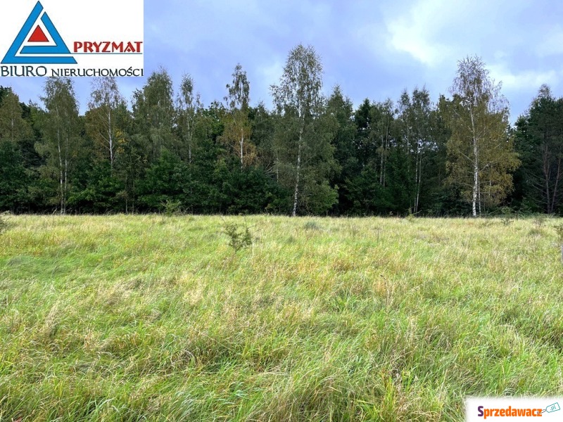 Działka Maruny sprzedam, pow. 944 m2  (9.4a)