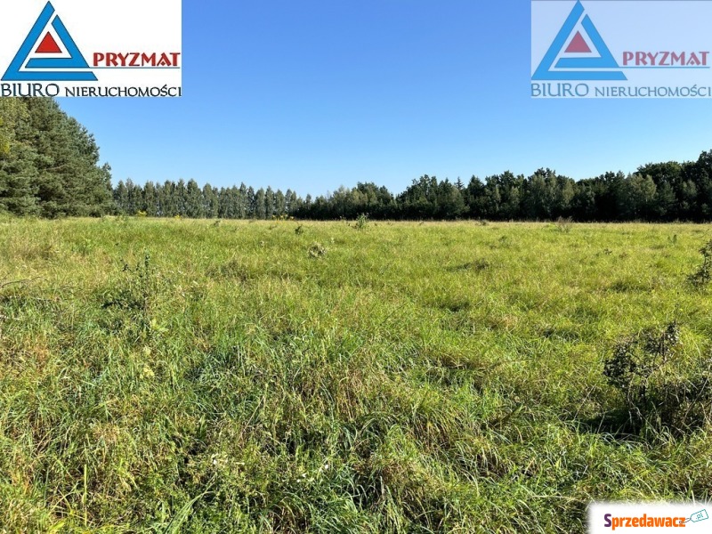 Działka Maruny sprzedam, pow. 1004 m2  (10a)