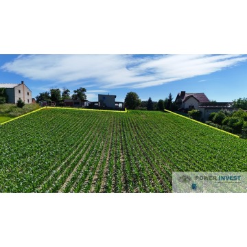 Działka budowlana Gostyń sprzedam, pow. 9000 m2  (0.9ha) - zdjęcie 3