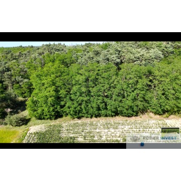 Działka budowlana Gostyń sprzedam, pow. 9000 m2  (0.9ha) - zdjęcie 5