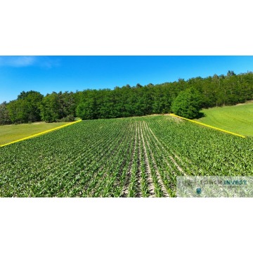 Działka budowlana Gostyń sprzedam, pow. 9000 m2  (0.9ha) - zdjęcie 4