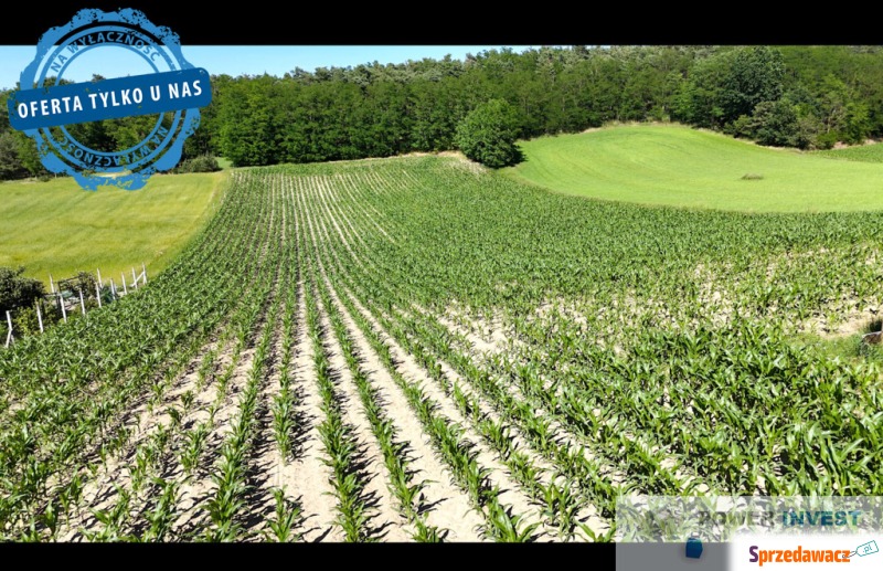 Działka budowlana Gostyń sprzedam, pow. 9000 m2  (0.9ha)