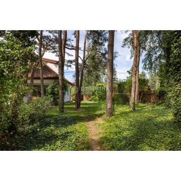 Sprzedam dom Laski - ,  pow.  250 m2,  działka:   1129 m2 - zdjęcie 7