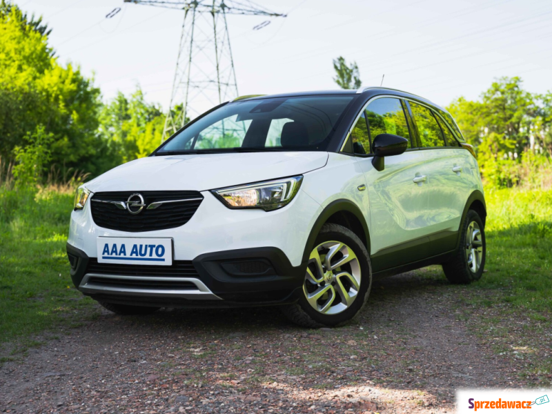 Opel 2019