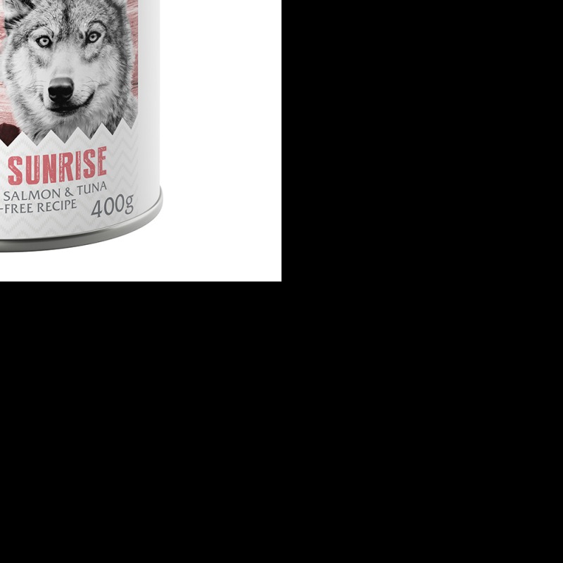 Wolf of Wilderness 