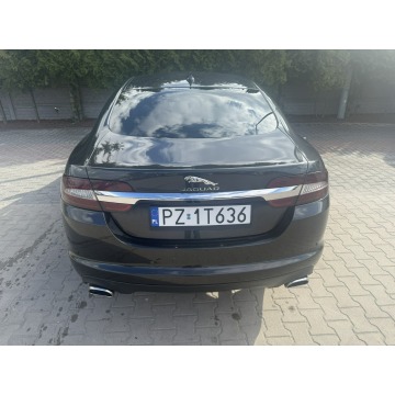 Jaguar XF  Sedan/Limuzyna 2015,  2.2 diesel, automat - Na sprzedaż za 40 900 zł - Zielona Łąka - zdjęcie 5