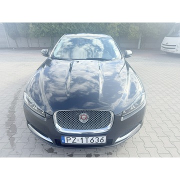 Jaguar XF  Sedan/Limuzyna 2015,  2.2 diesel, automat - Na sprzedaż za 40 900 zł - Zielona Łąka - zdjęcie 6