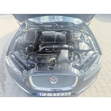 Jaguar XF  Sedan/Limuzyna 2015,  2.2 diesel, automat - Na sprzedaż za 40 900 zł - Zielona Łąka - zdjęcie 11