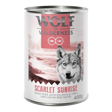 Wolf of Wilderness 