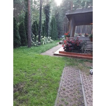 Unikalny dom w lesie - Pozostałe artykuły do... - Legionowo - zdjęcie 2