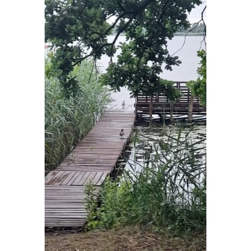 Unikalny dom w lesie - Pozostałe artykuły do... - Legionowo - zdjęcie 4