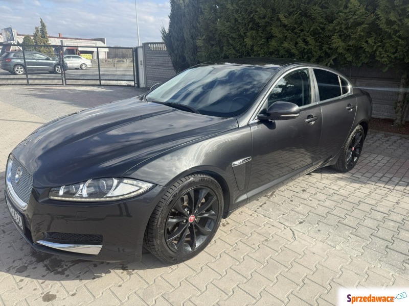 Jaguar XF  Sedan/Limuzyna 2015,  2.2 diesel, automat - Na sprzedaż za 40 900 zł - Zielona Łąka