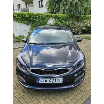 Kia Ceed  Hatchback 2013,  1.6 benzyna - Na sprzedaż za 31 500 zł - Tarnowskie Góry - zdjęcie 8