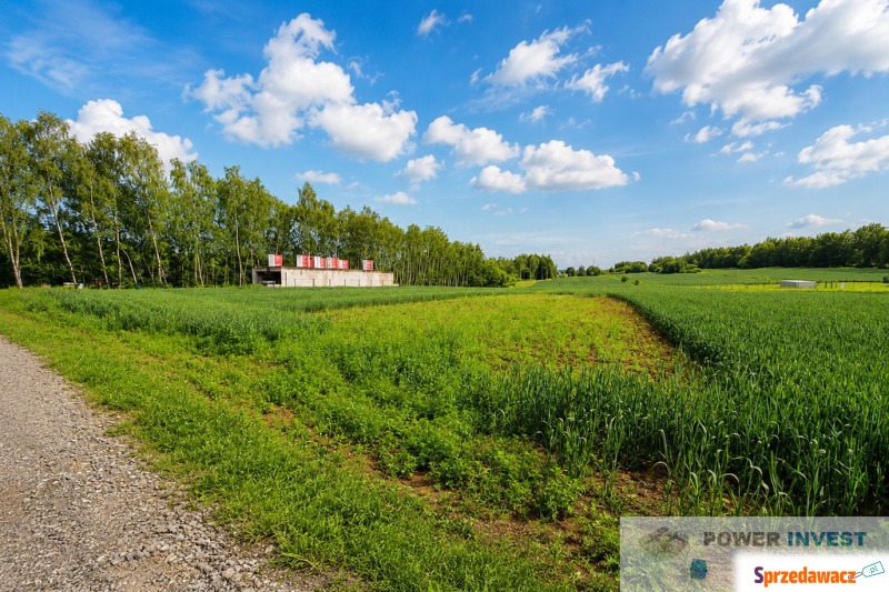 Działka budowlana Bodzanów sprzedam, pow. 610 m2  (6.1a)