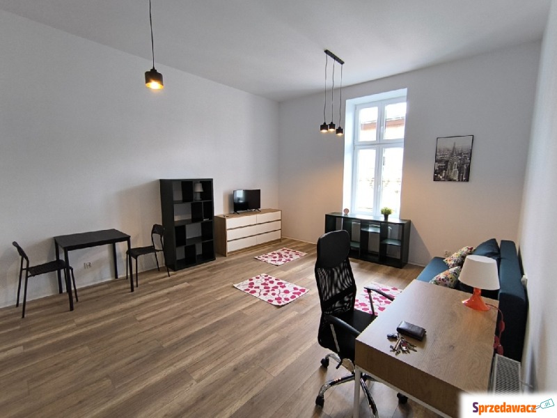 Mieszkanie jednopokojowe Łódź - Polesie,   35 m2, drugie piętro - Do wynajęcia