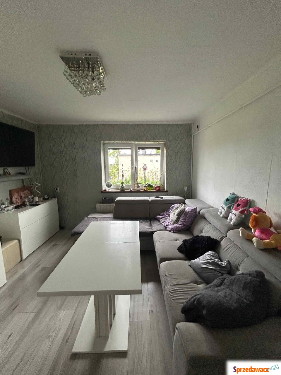 Mieszkanie, 55,53 m², Baczyna
