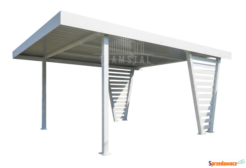 Carport V PREMIUM 4x5m - Wypeł...