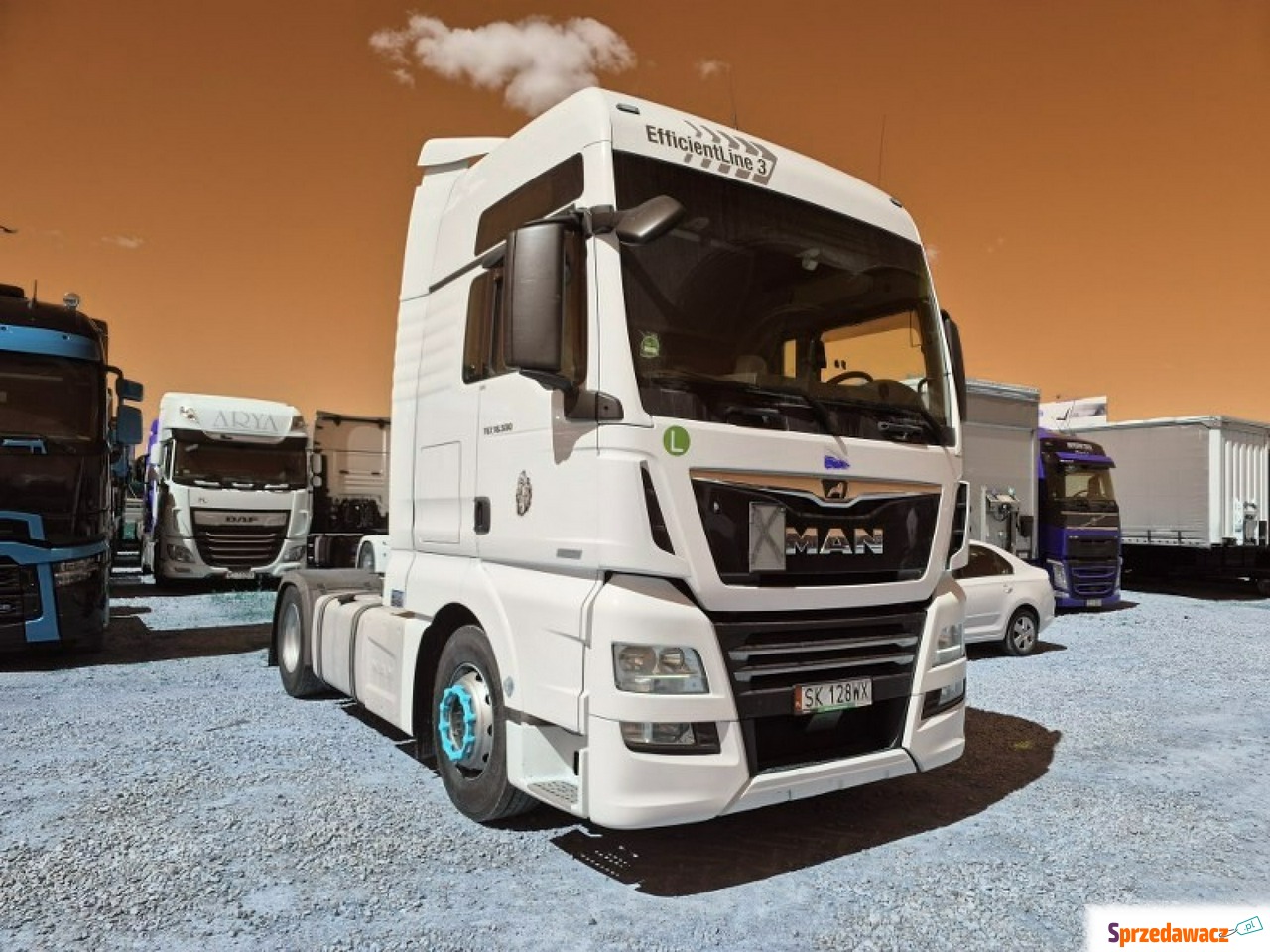 MAN Tgx - Poleasingowe PL