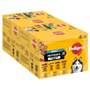 Pedigree Adult Protein Plus w saszetkach, w galarecie - 24 x 85 g (4 smaki)