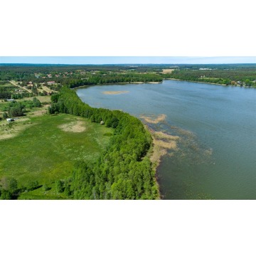 Działka rolna Ruś sprzedam, pow. 3442 m2  (34.4a), uzbrojona - zdjęcie 2