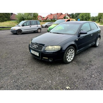 Audi A3  Hatchback 2003,  1.6 benzyna - Na sprzedaż za 3 300,00 zł - Tarnów - zdjęcie 2