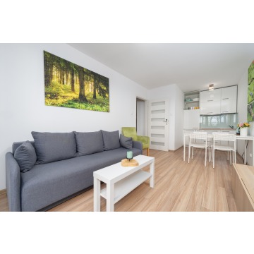 Mieszkanie dwupokojowe Grudziądz,   35 m2 - Sprzedam - zdjęcie 4