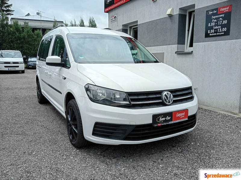 Volkswagen Caddy  Minivan/Van 2019,  1968.0 diesel - Na sprzedaż za 79 900 zł - Janów Lubelski