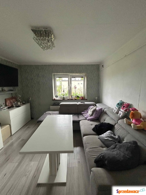 Mieszkanie dwupokojowe Baczyna,   56 m2 - Sprzedam
