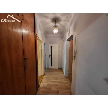 Mieszkanie jednopokojowe Chełm,   36 m2, pierwsze piętro - Sprzedam - zdjęcie 3