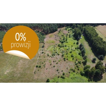 Działka budowlana Drągów sprzedam, pow. 1007 m2  (10.1a) - zdjęcie 3