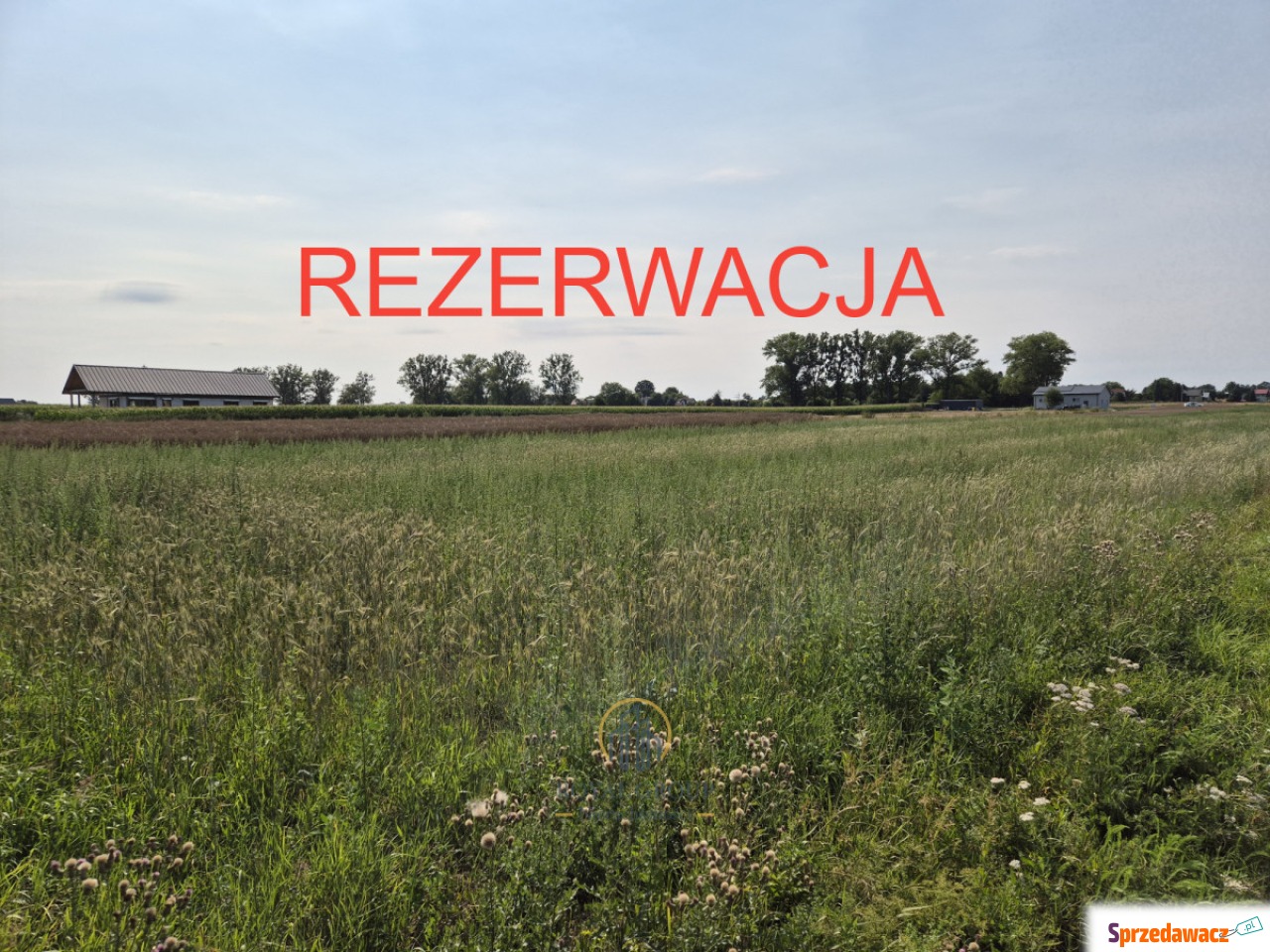 Do sprzedania działka 1246 m2