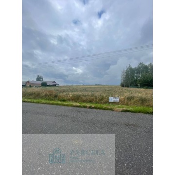 Działka rolna Wiewiórów sprzedam, pow. 45 117 m2  (4.51ha) - zdjęcie 5