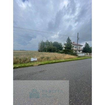 Działka rolna Wiewiórów sprzedam, pow. 45 117 m2  (4.51ha) - zdjęcie 4