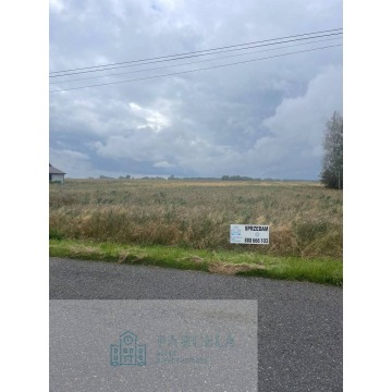 Działka rolna Wiewiórów sprzedam, pow. 45 117 m2  (4.51ha) - zdjęcie 1