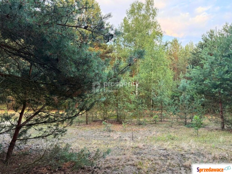 Działka budowlana | 3400m2 WZ |...