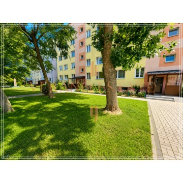 Mieszkanie trzypokojowe Błonie,   60 m2 - Sprzedam - zdjęcie 2