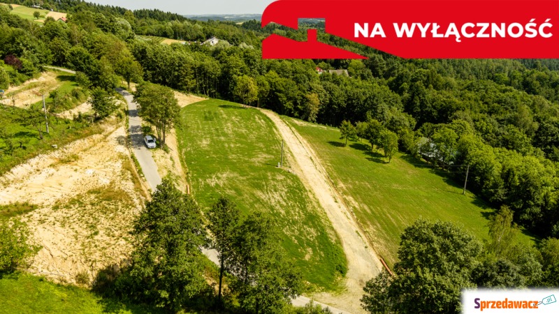 Działka z Wz  Olszowa, TANIO !