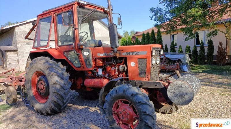 Traktor rolniczy MTZ 82 - Ciągniki, traktory - Busko-Zdrój