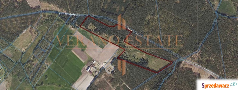DZIAŁKA ROLNA/INWESTYCYJNA| 6,58HA...